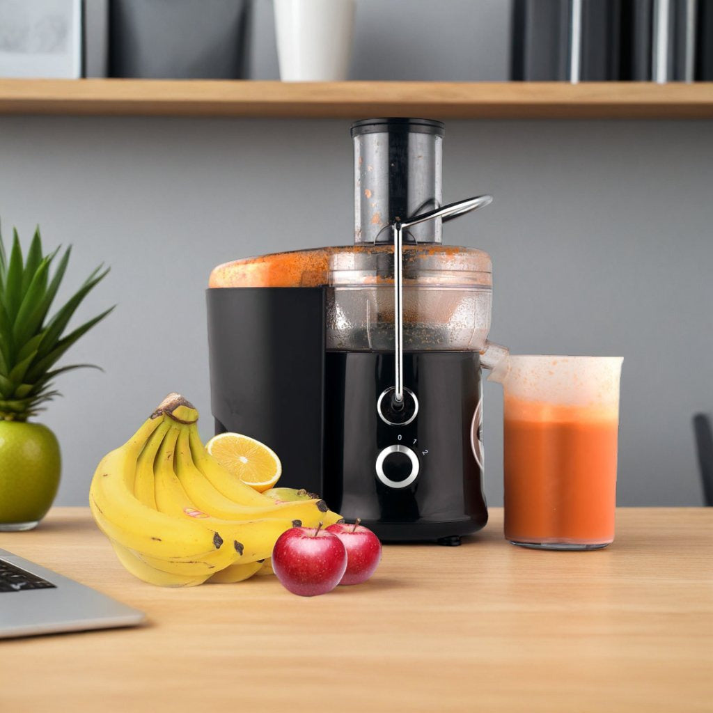 Self Cleaning Juicer a 304 LEU