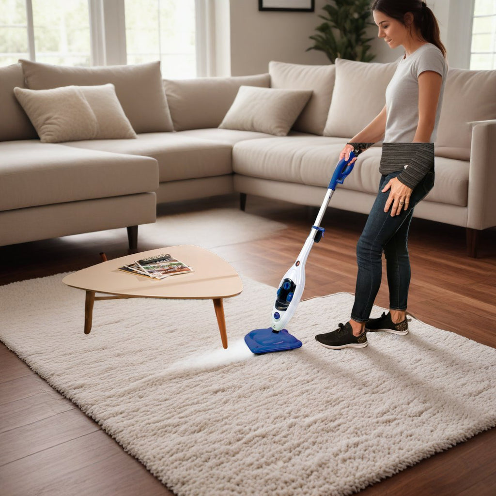 Steam mop a 2.251 CZK