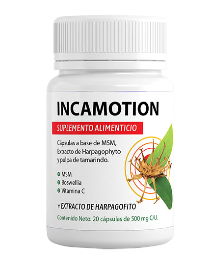 IncaMotion