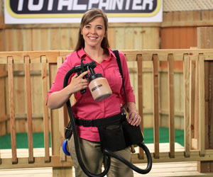 Total Painter a 1.711 CZK