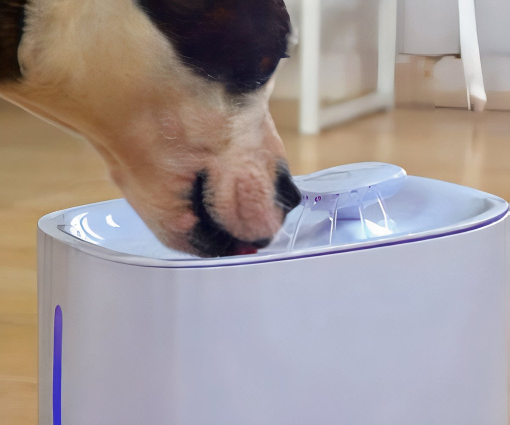 Starlyf Pet Fountain a 49,99€